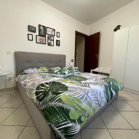 Castelli Home - Castelli Apartments Albano Laziale Dış mekan fotoğraf
